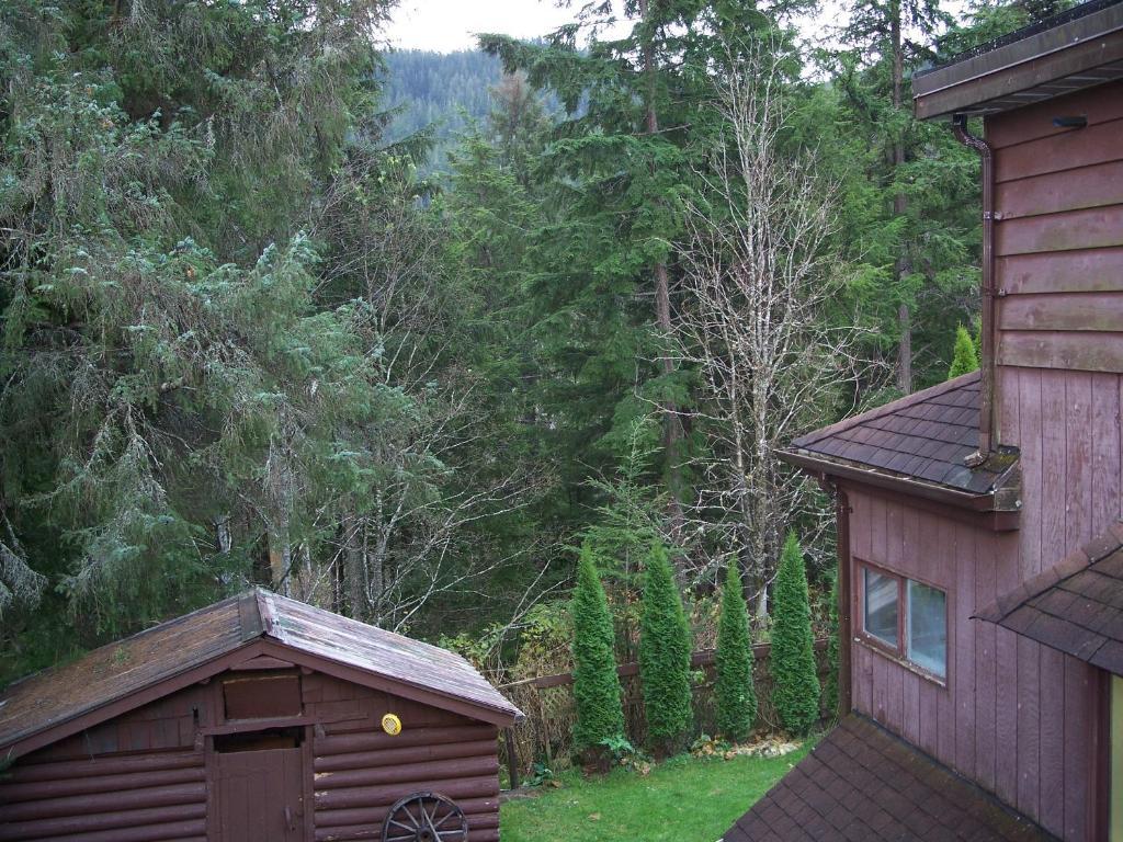 Tall Trees Bed & Breakfast Prince Rupert Rom bilde